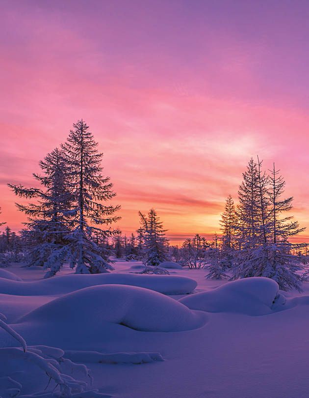 Winter landscape with taiga, fo
