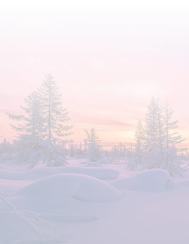 Winter landscape with taiga, fo