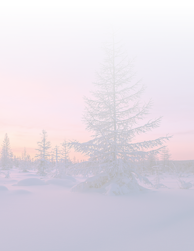 Winter landscape with taiga, fo