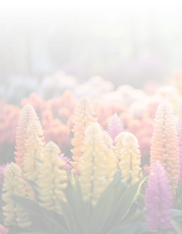 many beautiful flowers at the flower festival in thailand