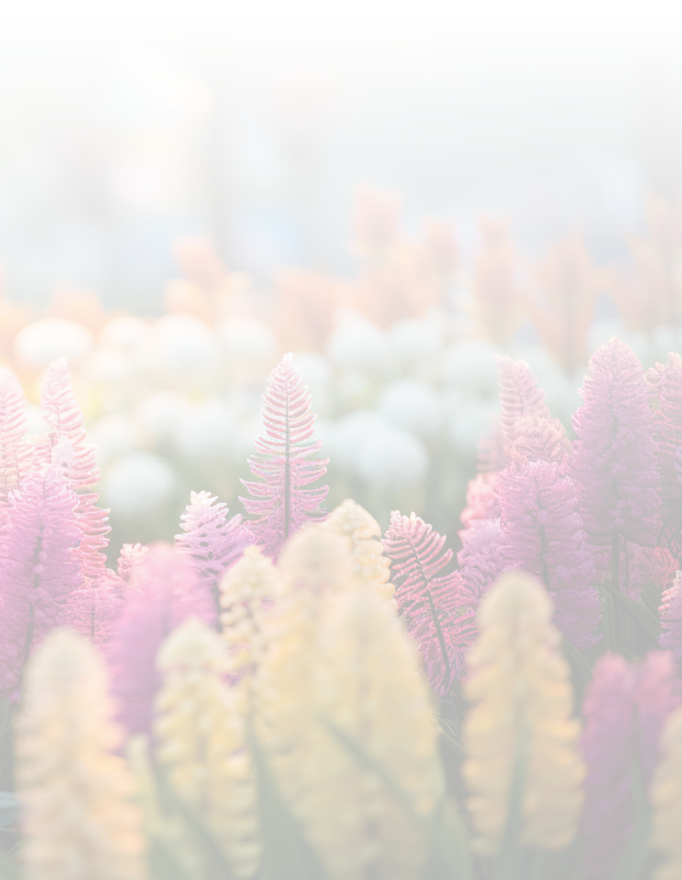 many beautiful flowers at the flower festival in thailand