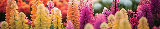 many beautiful flowers at the flower festival in thailand